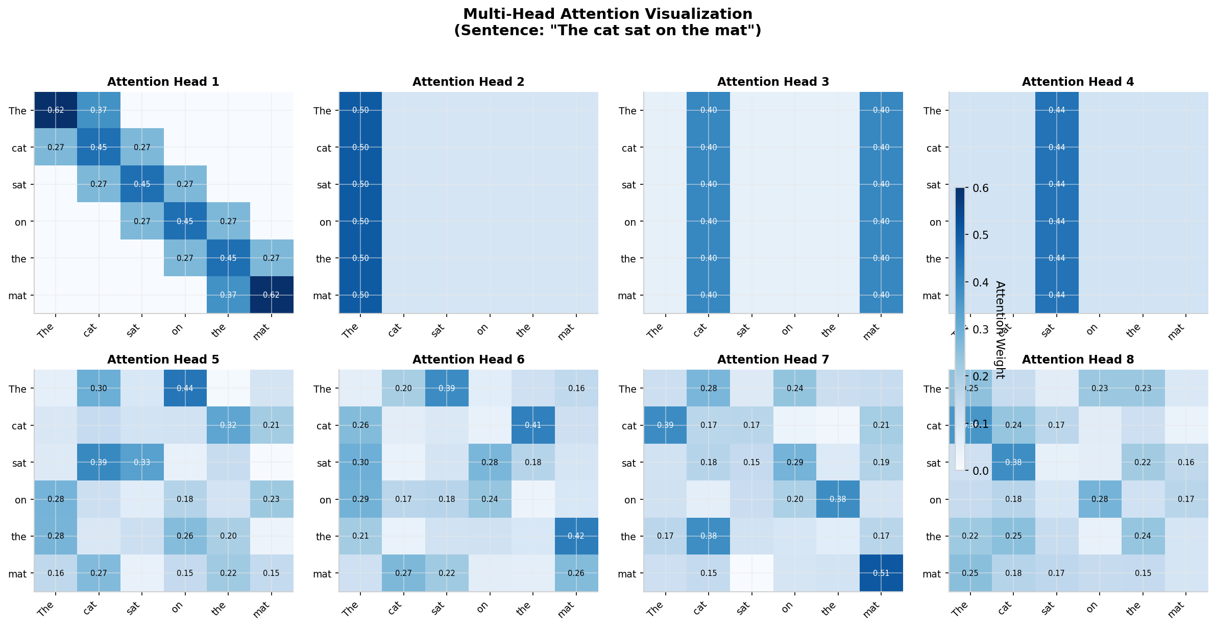多头注意力可视化