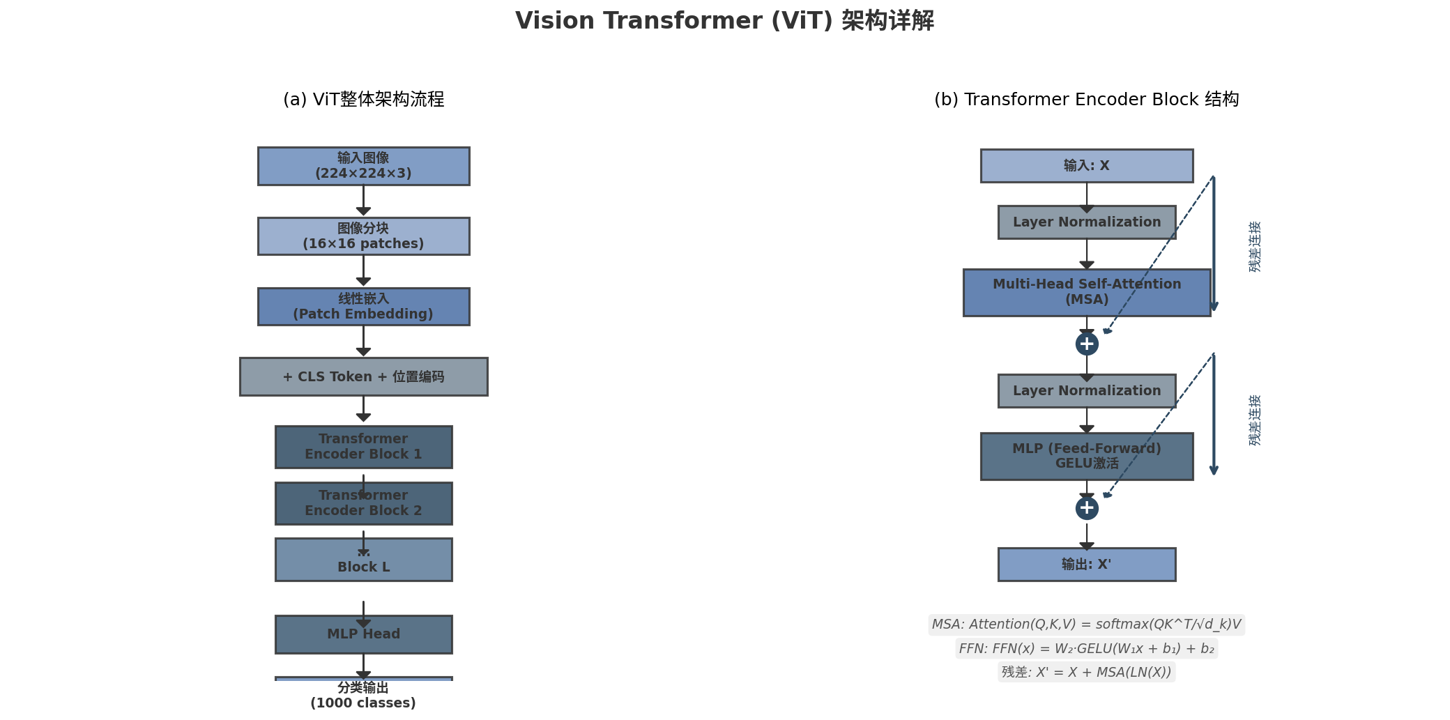 Vision Transformer 架构详解